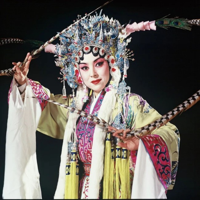 杨凤一在《百花记》中饰演百花公主